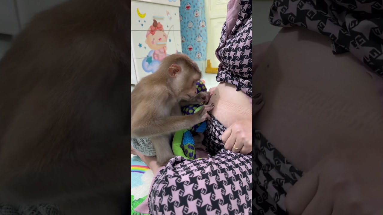 Sam Boy is curious about his mother's pregnant belly#shorts