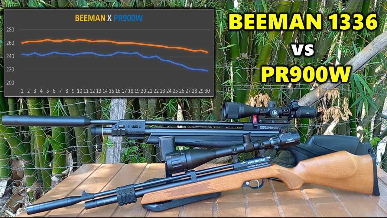 💥Pr900w vs Beeman 1336💥 Qual é melhor? A disputa mais aguardada! Comparativo em gráficos e tabelas