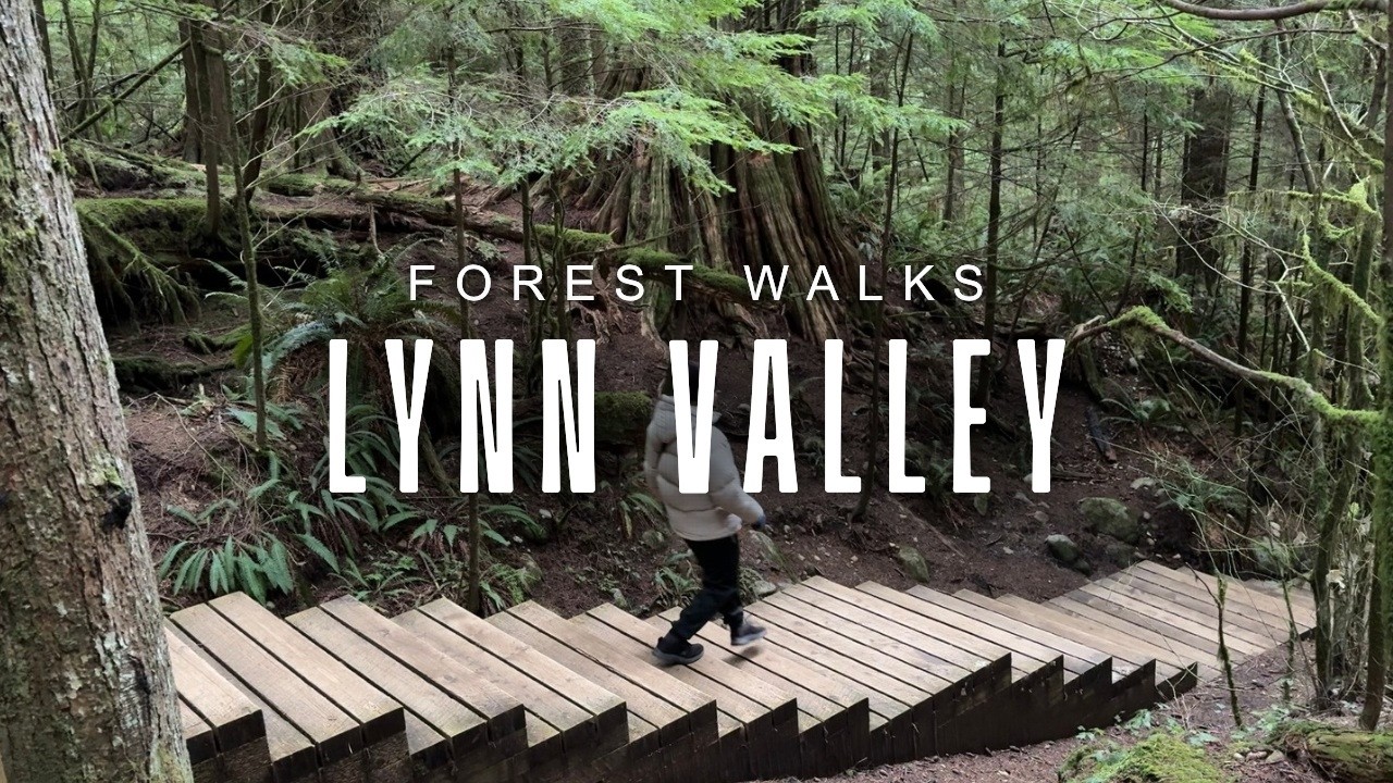[4K]🌲 Emerald Basin, Suspension Bridge, Twin Falls Bridge | Lynn Canyon Forest Walk