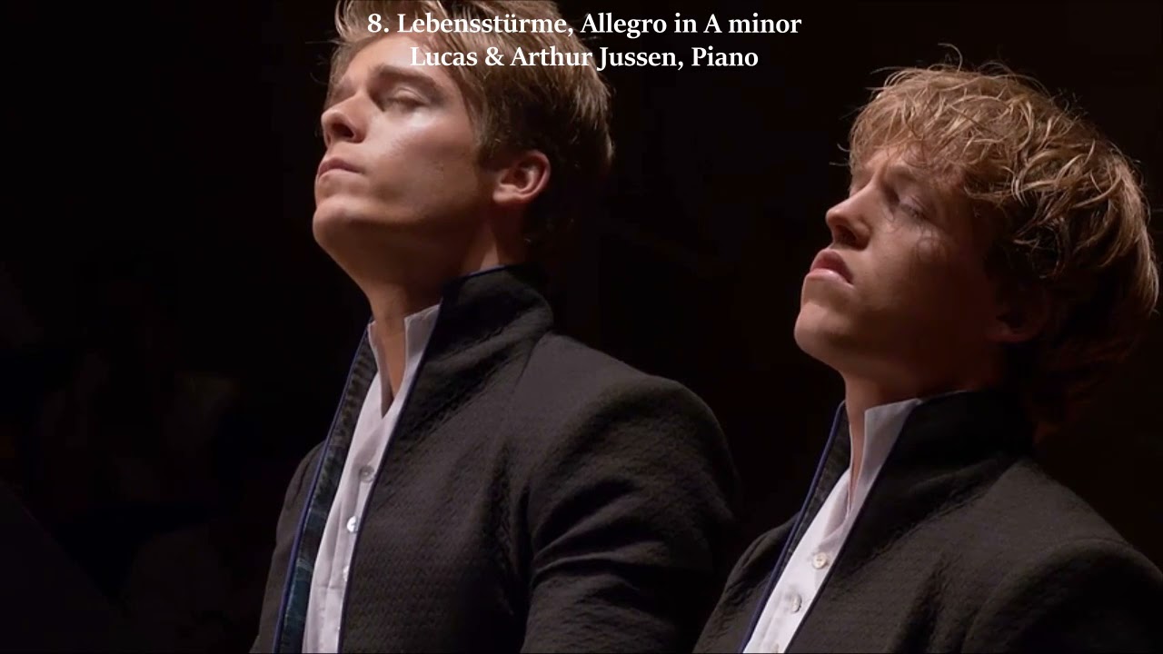 12 of the Most Enchanting SCHUBERT Instrumental Pieces