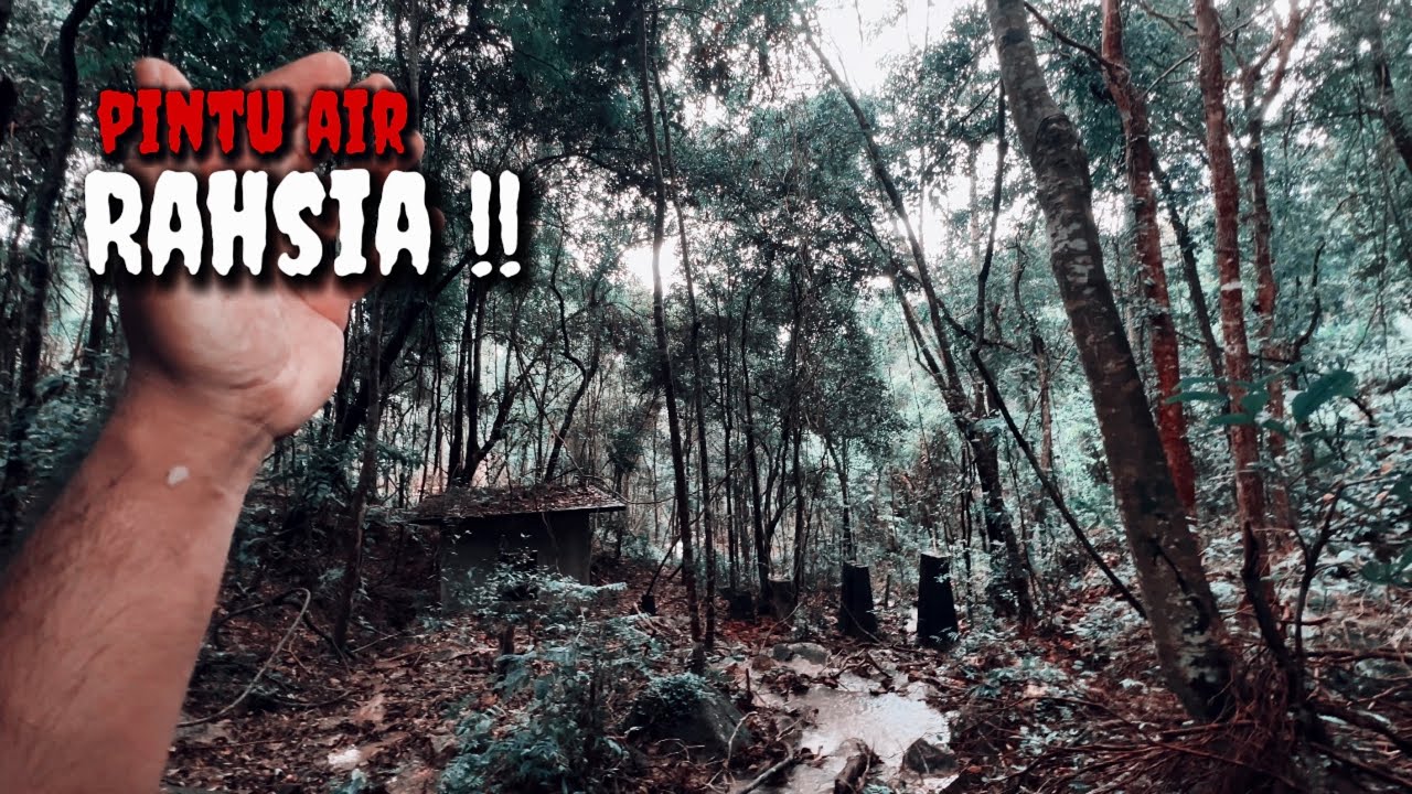 TIDAK DI SANGKA TERJUMPA PINTU BAWAH TANAH DI TENGAH HUTAN BELANTARA | DEM BAWAH TANAH YANG RARE!