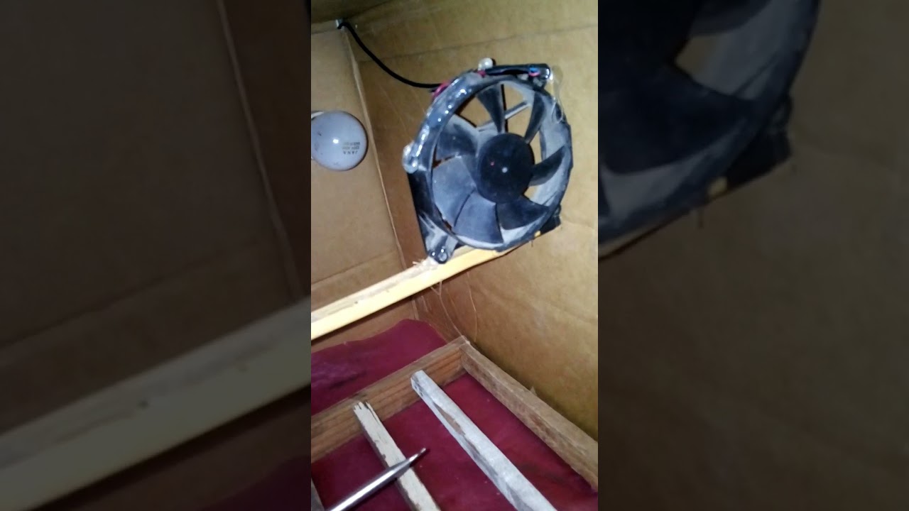 طريقه عمل الفقاسه