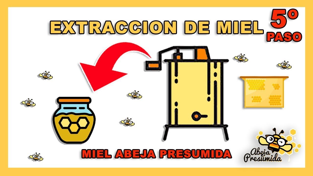 EXTRACCION de MIEL  🐝🧡🎥 Paso 5