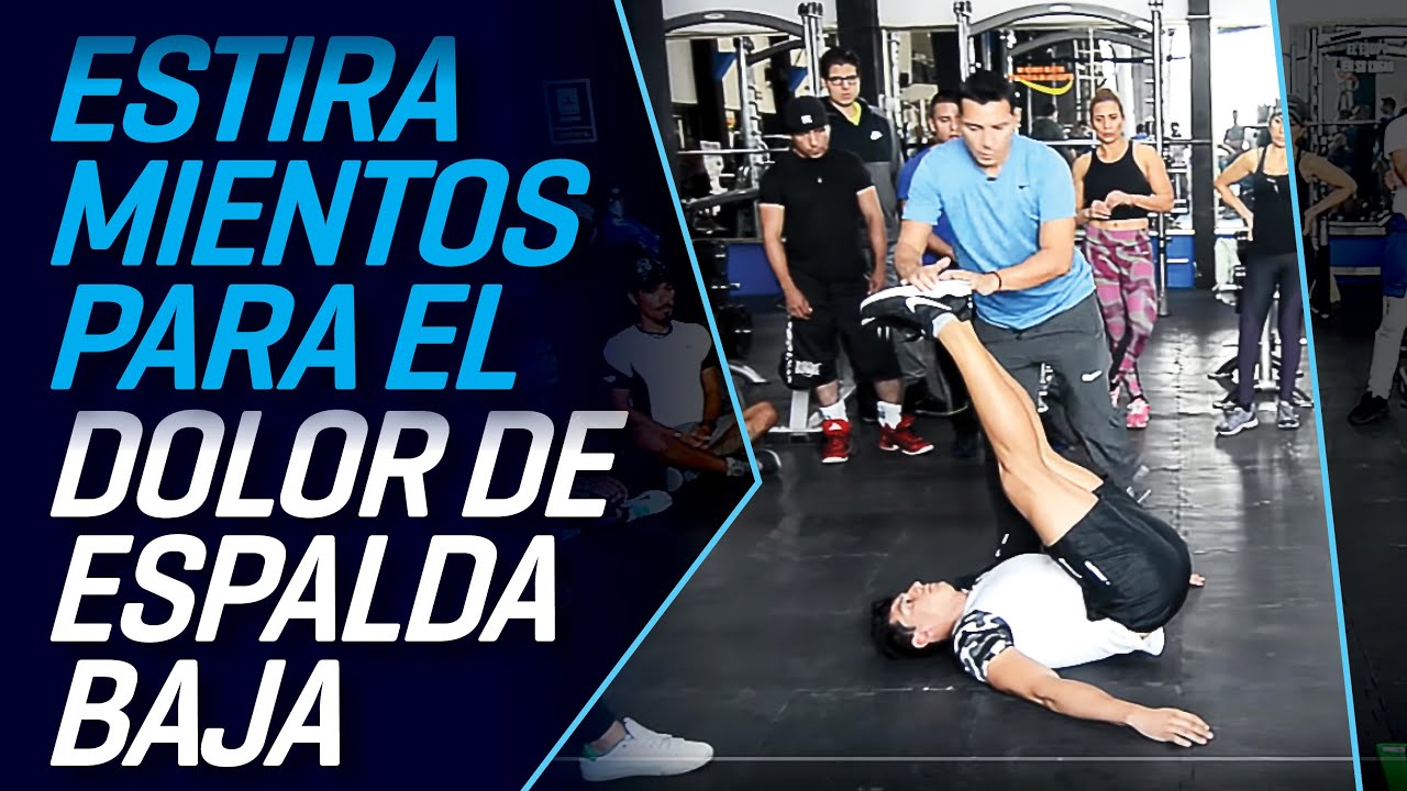 COMO ESTIRAR LA ESPALDA BAJA - CURSO DE EJERCICIOS CORRECTIVOS