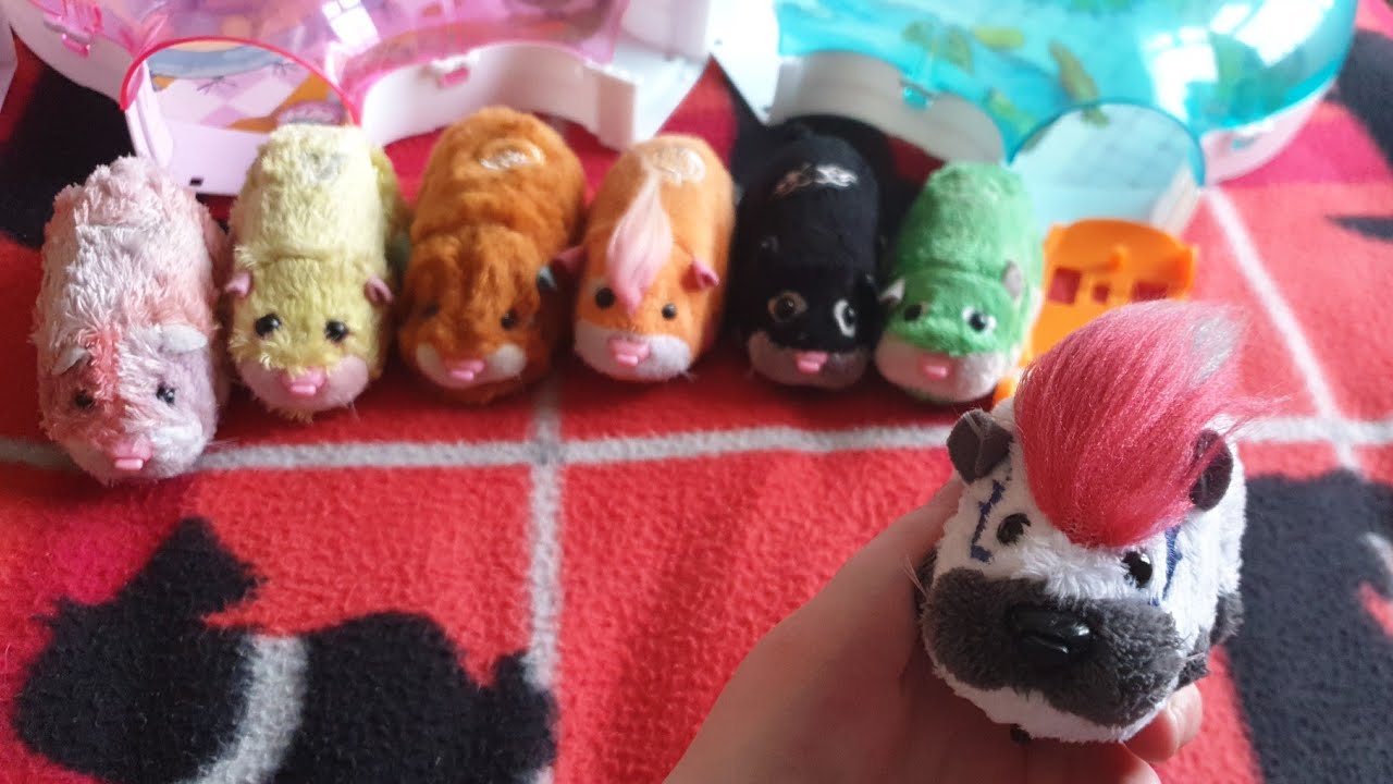 Zhu Zhu Pet Review/Haul - Marmie, Peanut, Pumpkin, Baboose, Diesel and Shamrock