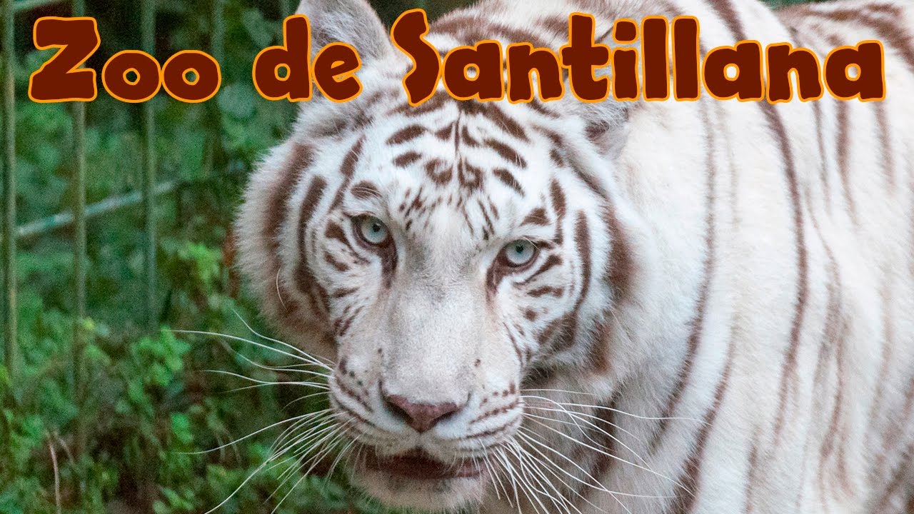 Zoo de Santillana del Mar