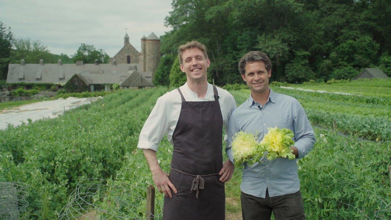 The Beauty of Blanched Escarole: Stone Barns CSA