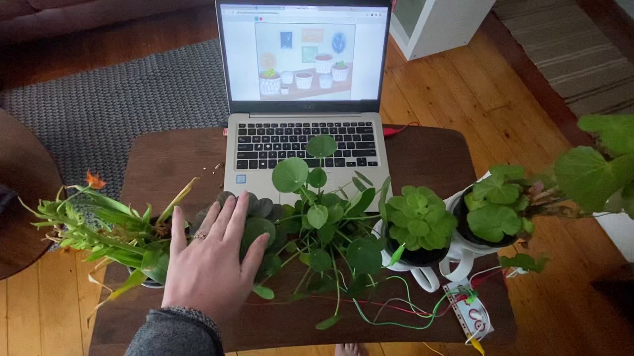 Makey makey and scratch plant playground