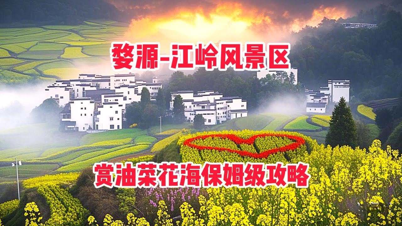 省时高效！轻松玩转中国著名油菜花海观赏地，看江南顶级田园美景 ！江西婺源县【江岭风景区】旅拍全攻略