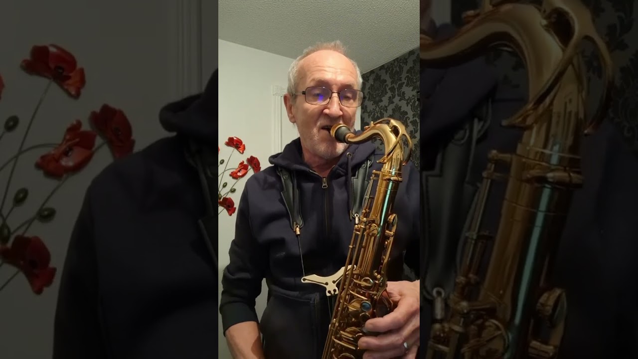 Losing My Religion - tenor sax cover     