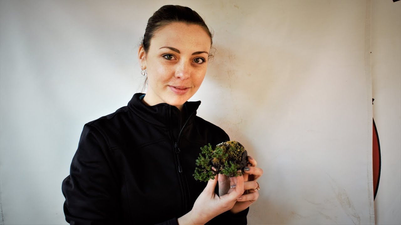 Mame and Shohin Bonsai with Jessica Jonker