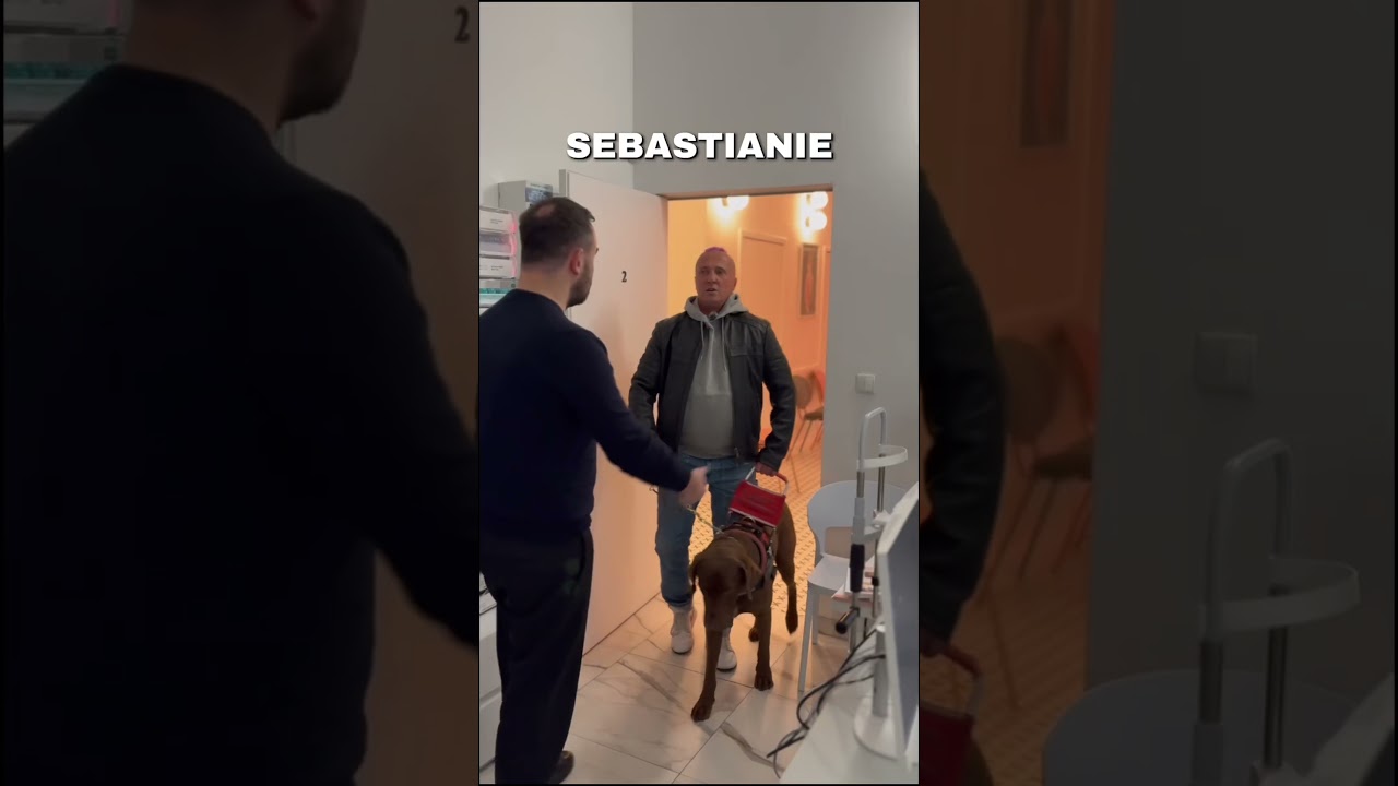 Pies przewodnik w gabinecie lekarskim 👨🏻&zwj;🦯🦮 #niewidomy #piesprzewodnik #okulista