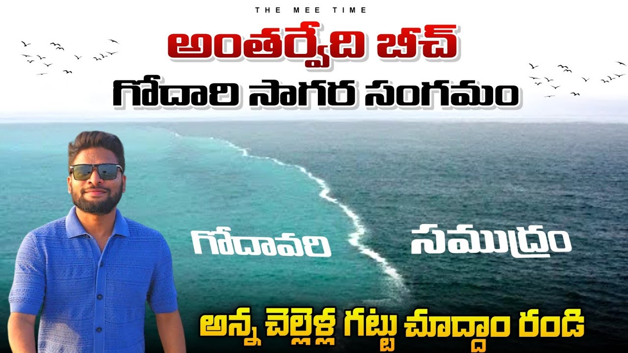 కోనసీమలోని అంతర్వేది బీచ్ 🌊 చూద్దామా 👌🏻 Konaseema Tour #travelvlogs #teluguvlogs #antarvedi #beach