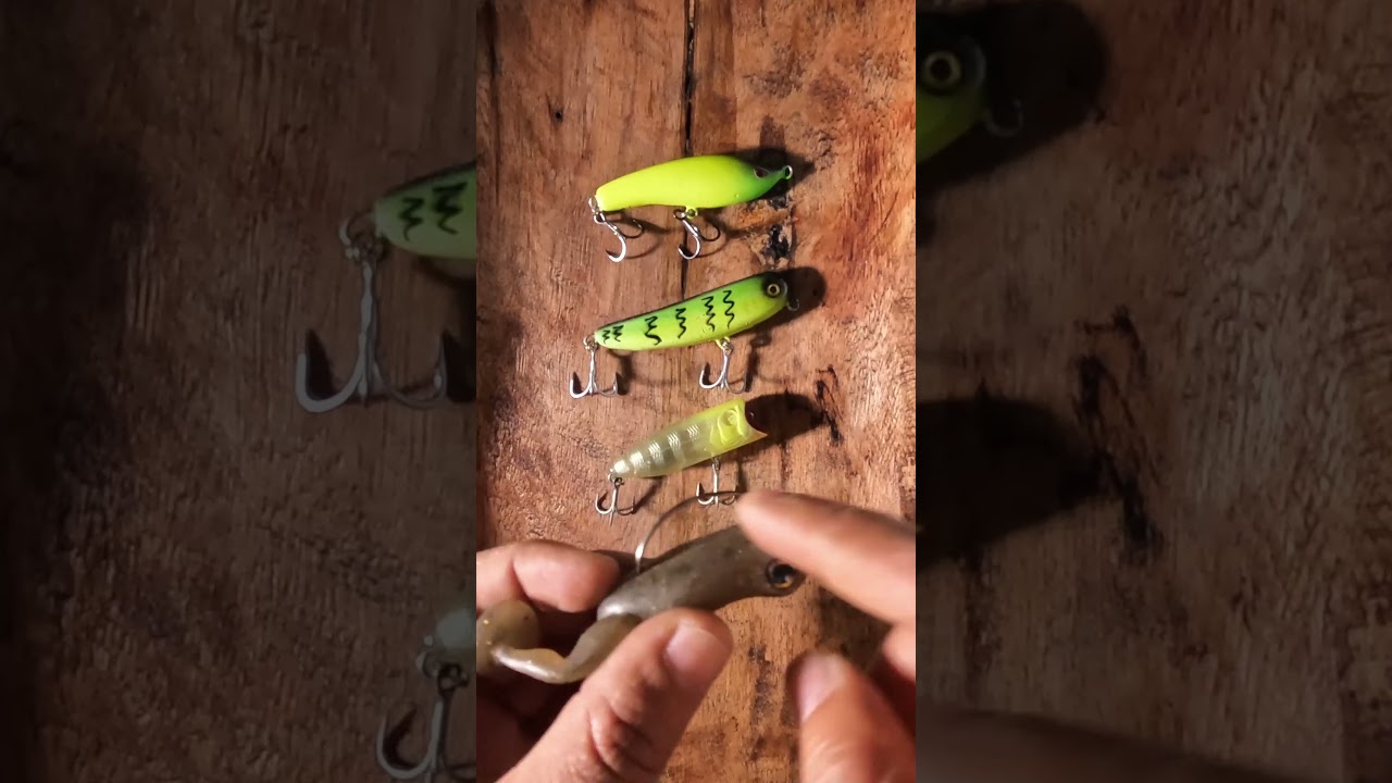 Iscas Artificiais Para Iniciantes - As Iscas de Superf&iacute;cie #iscaartificial #lure #fishing #pesca