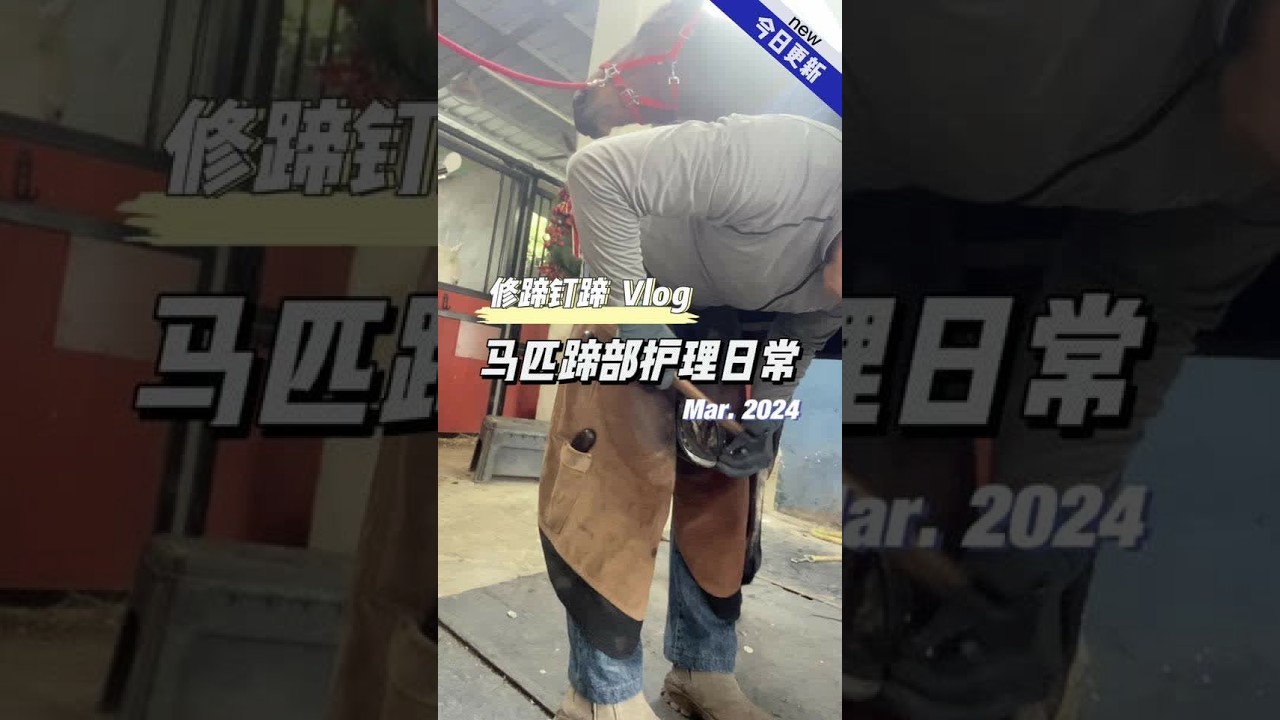 #修马蹄 #解压