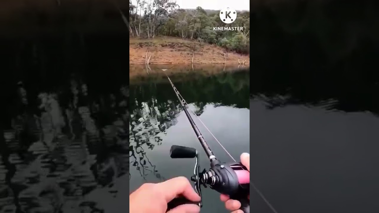Mainan baru reel bait casting Daido Predator