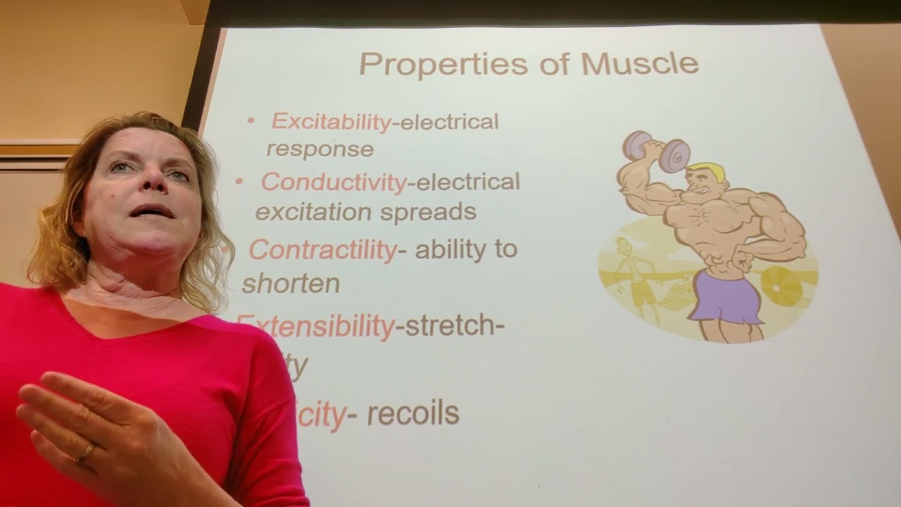 Muscle Physiology- Muscle contraction and relaxation