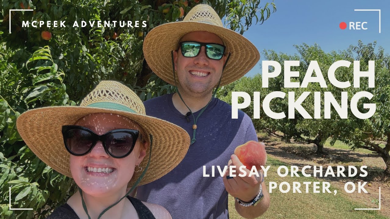FIRST Time EVER Picking Peaches At Livesay Orchards
