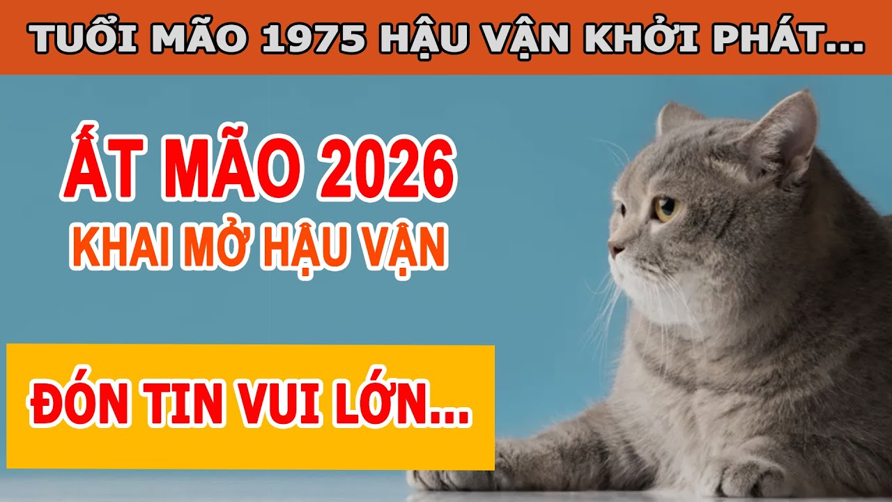 Tử Vi 2026 Tuổi Ất Mão 1975 Tài Lộc Bất Ngờ Tuổi Xế Chiều, Năm 2026 Định Hình Hậu Vận