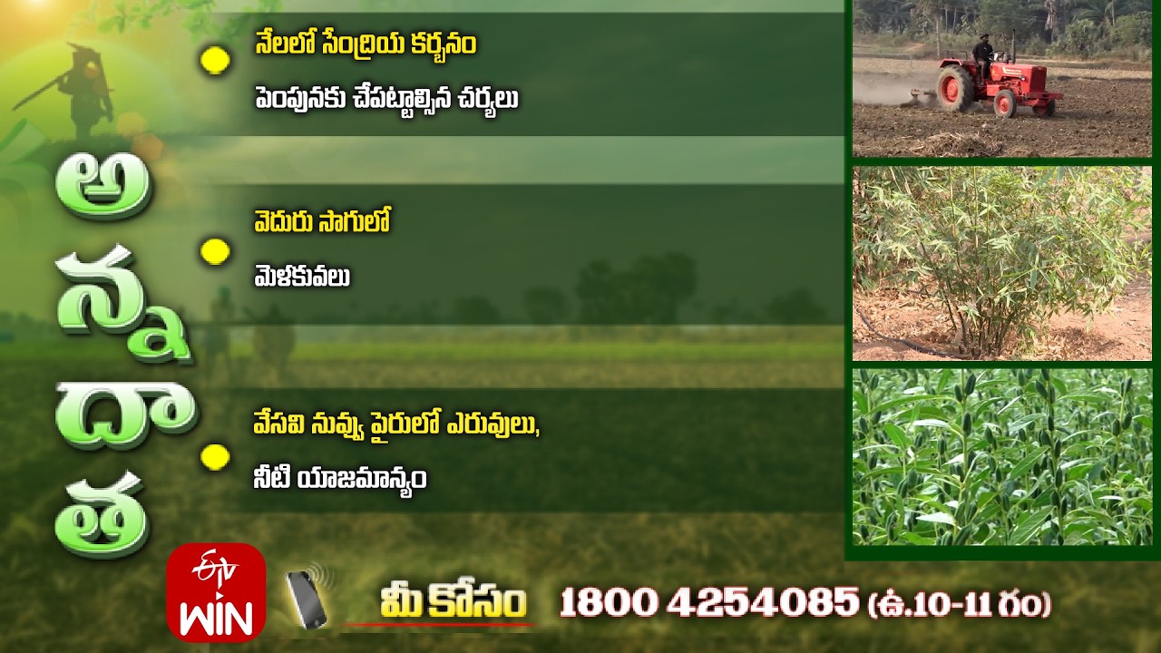 1st March 2026 | Annadata | అన్నదాత | Full Episode | ETV Telugu