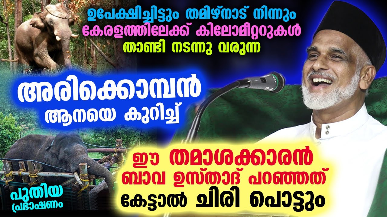 അരിക്കൊമ്പൻ ആനയെ കുറിച്ച് ഈ തമാശക്കാരൻ ഉസ്താദ് പറഞ്ഞത് കേട്ടാൽ ചിരി പൊട്ടും Arikomban | Bava Usthad