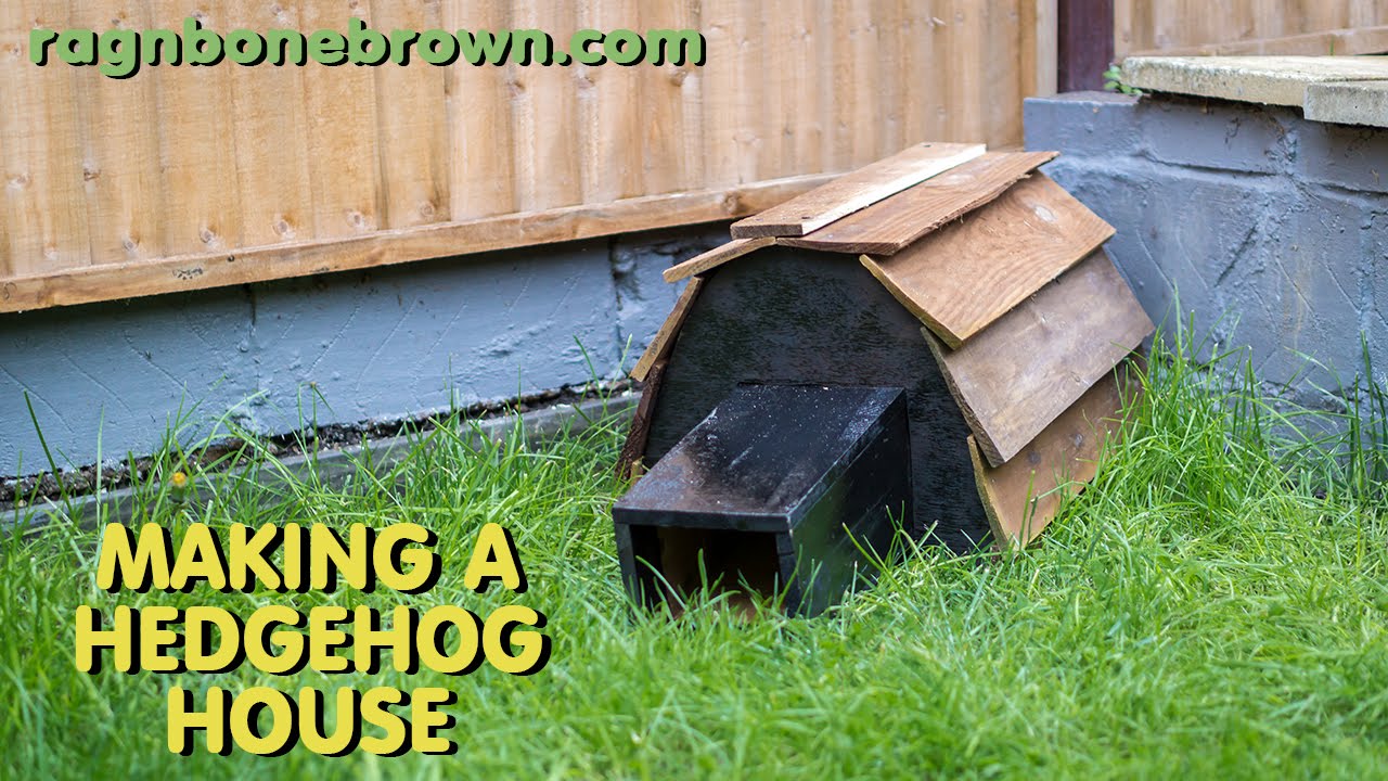 Making a Hedgehog House
