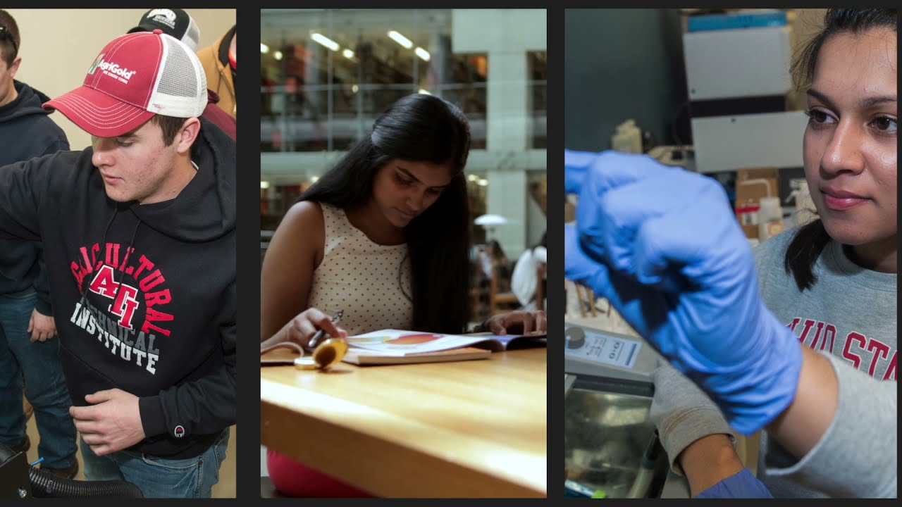 Research and Innovation Showcase 2021