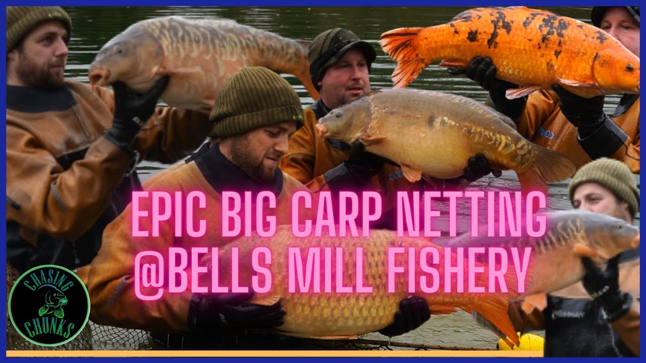 Bells Mill Fishery 