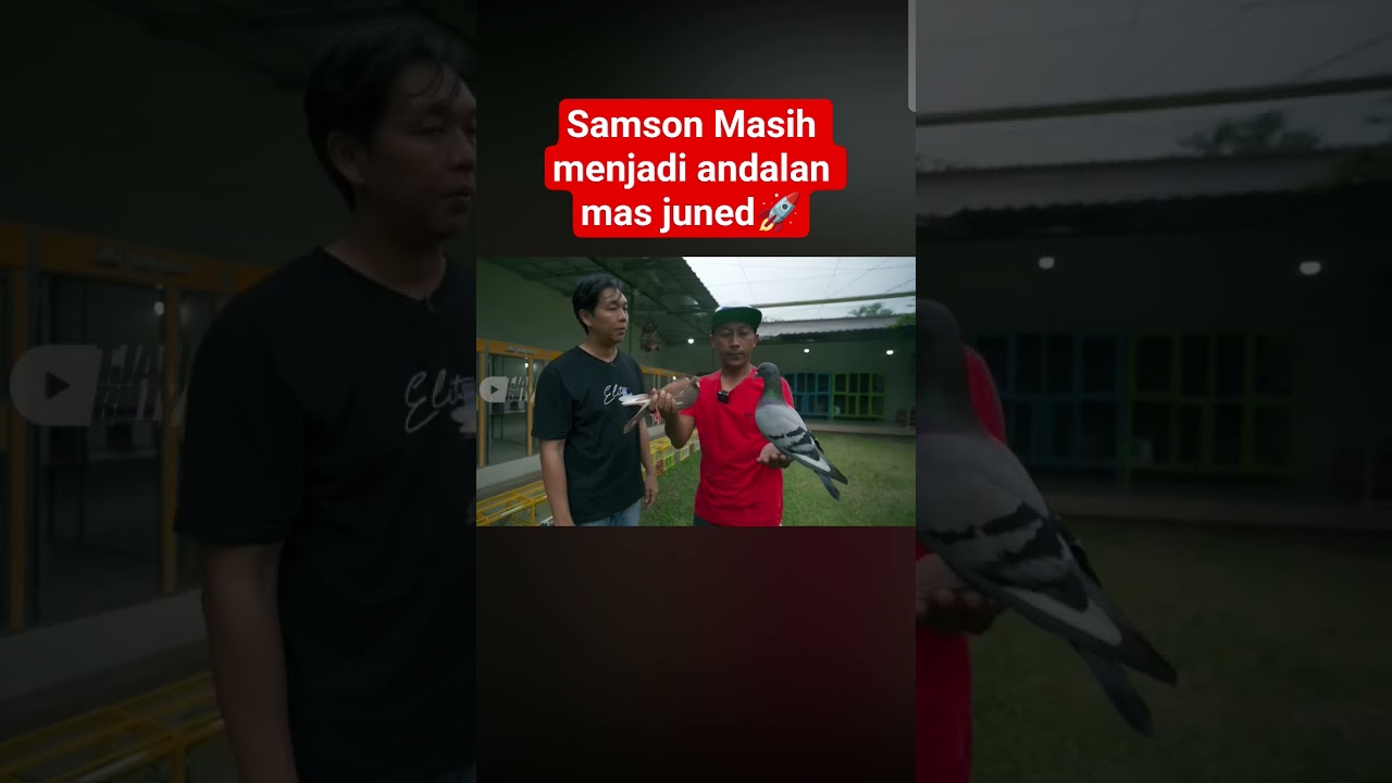 Samson team Kenwood masih menjadi andalan mas Juned😯🔥🚀 #kenwood #tjanbilly #merpatikolong