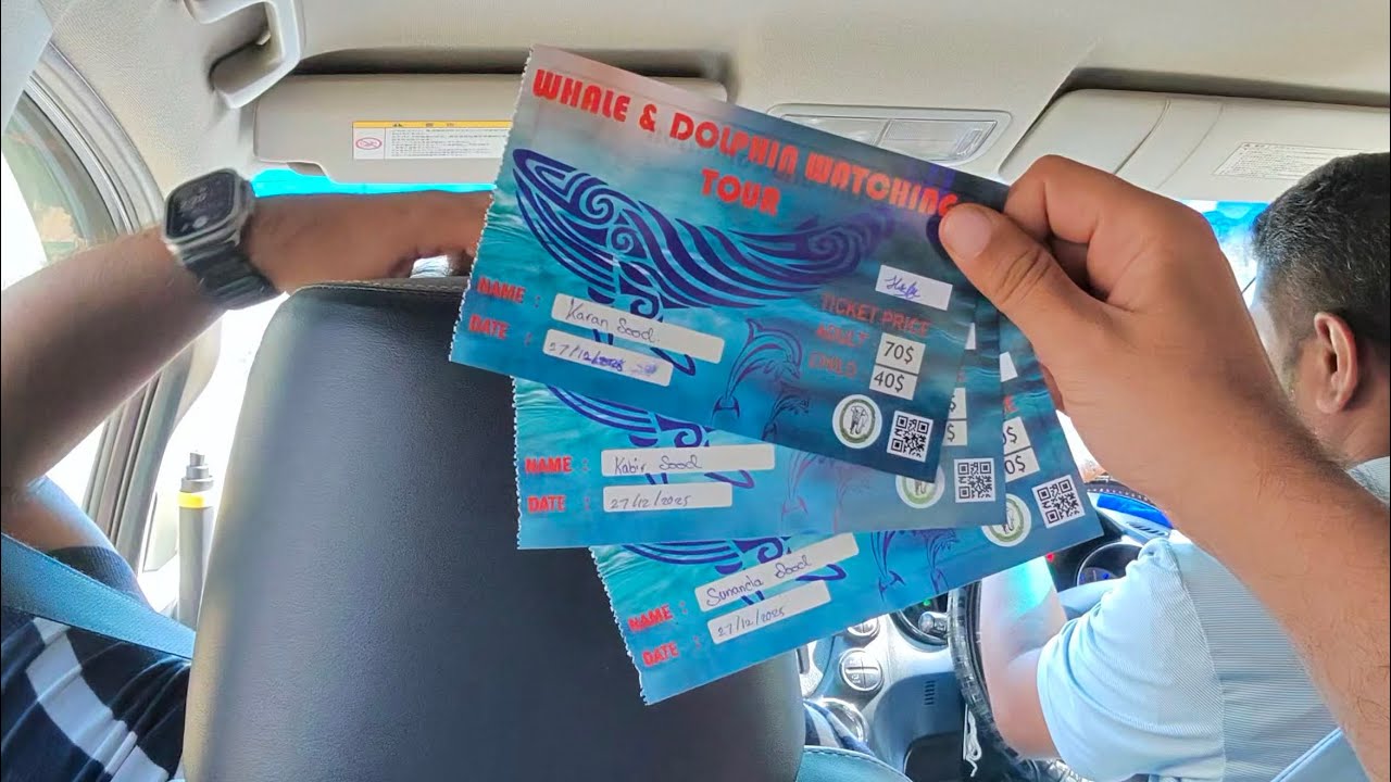 Whale & dolphin watching tour PART-1