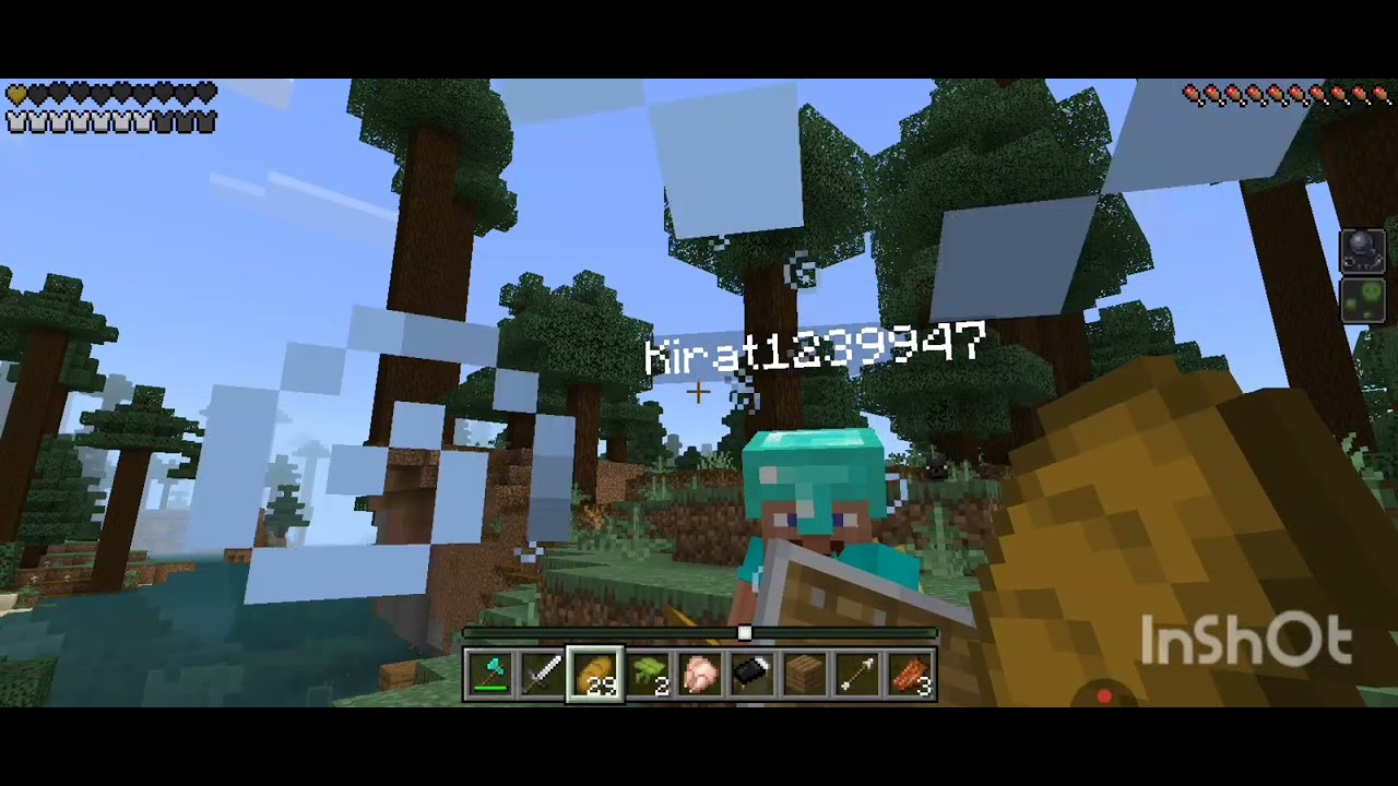 I went to a server in which the  diamond king was their | part-1