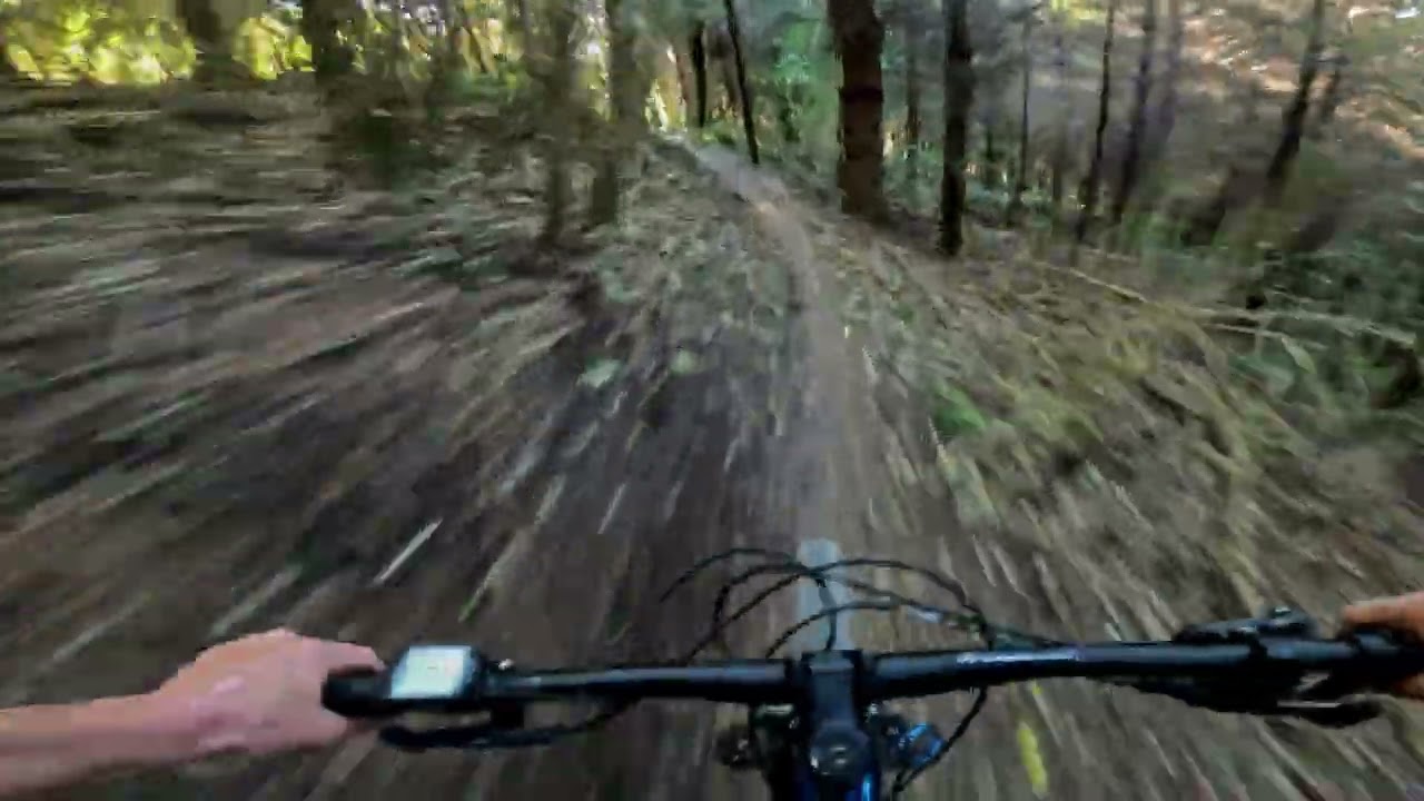 Keyboard Warrior @ Sharlands Forest. Nelson