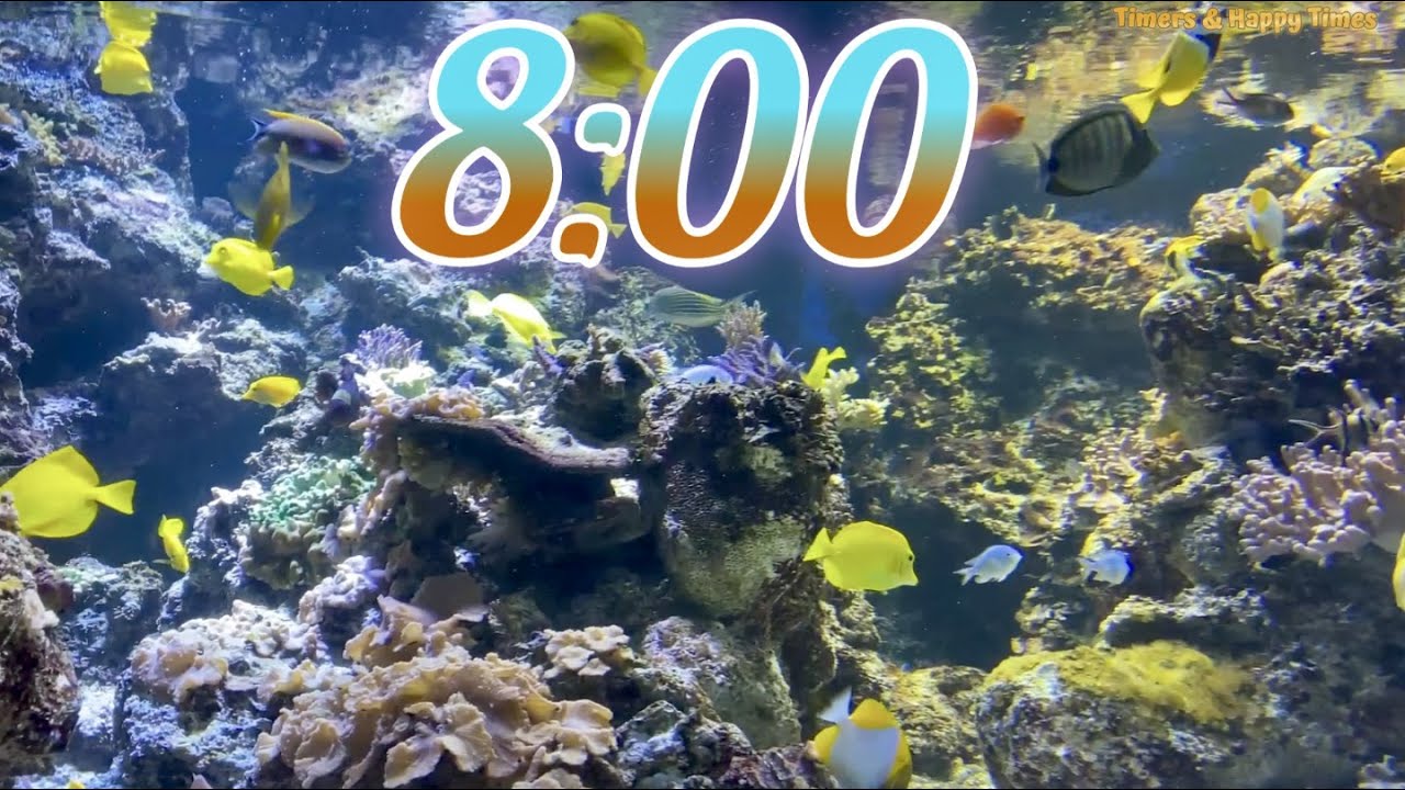 8 Minute Aquarium Timer/Countdown With Relaxing Music 🐟🐠|Cuenta Regresiva de 8 Minutos con M&uacute;sica.