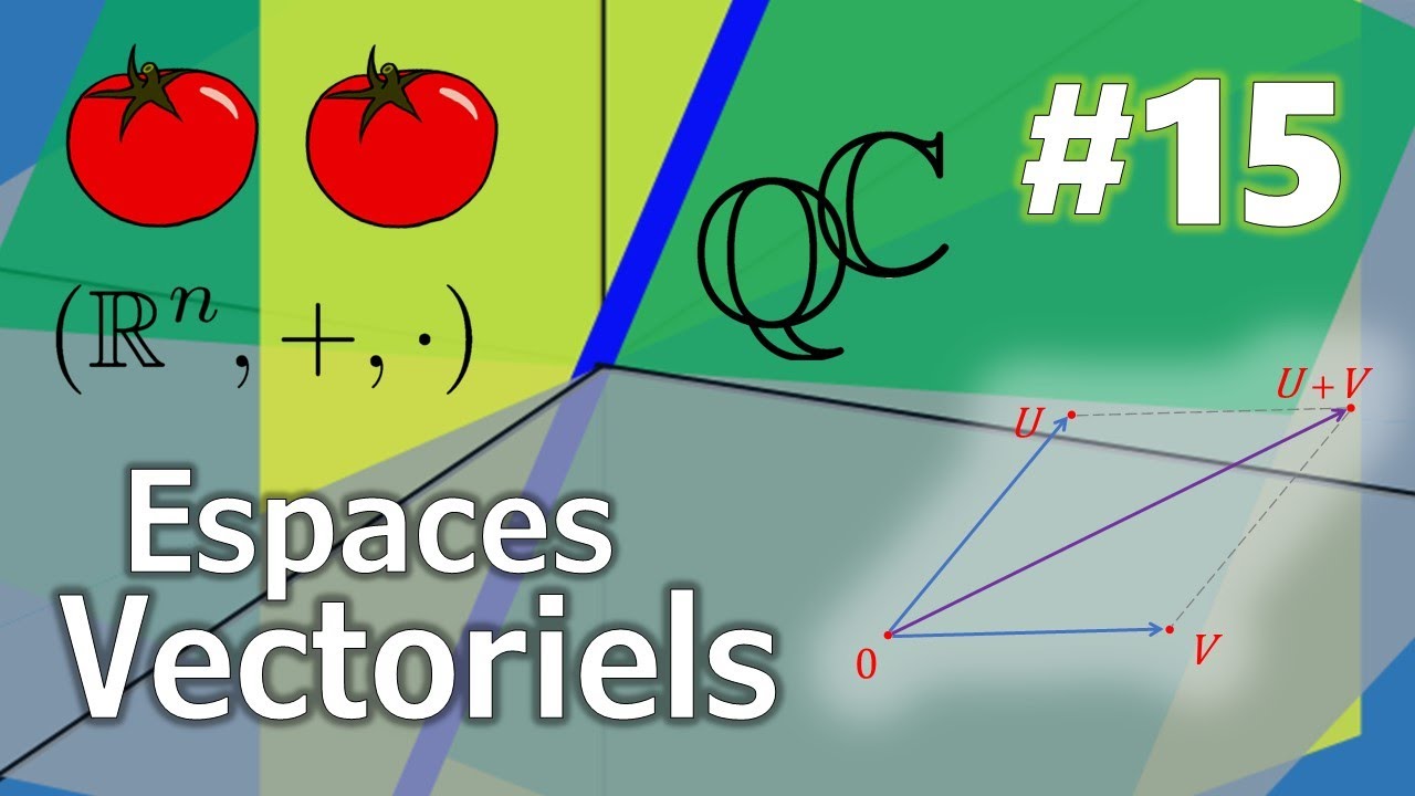 Thomaths 15 : Espaces Vectoriels (algèbre linéaire 1)