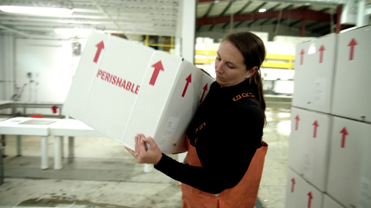 How to Handle Your Shipment of American Lobster
