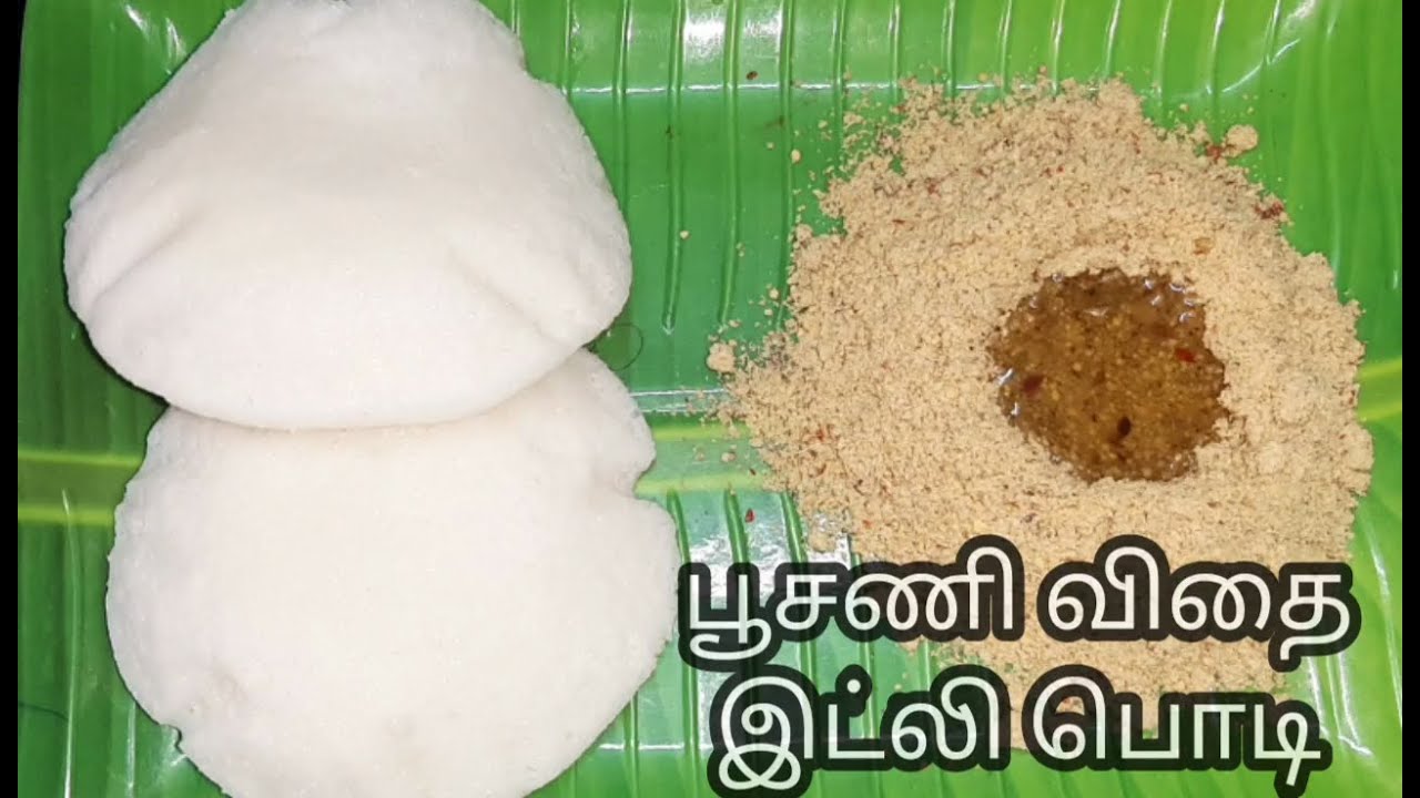 ஆரோக்கியமான பூசணி விதை இட்லி பொடி | WHITE PUMPKIN SEEDS IDLY PODI | PUSANI VIDHAI IDLY PODI