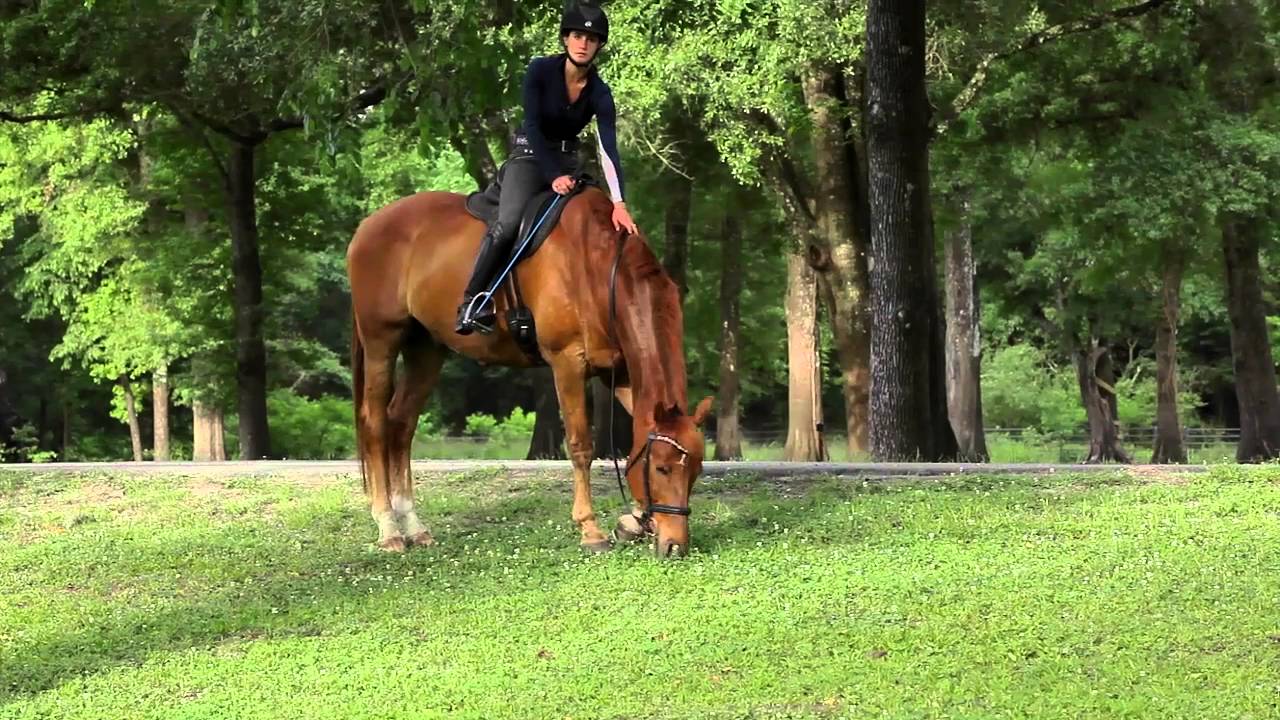 Horsemanship Quick Tip - How to Get Your Horse to Respect You and Stop Grazing