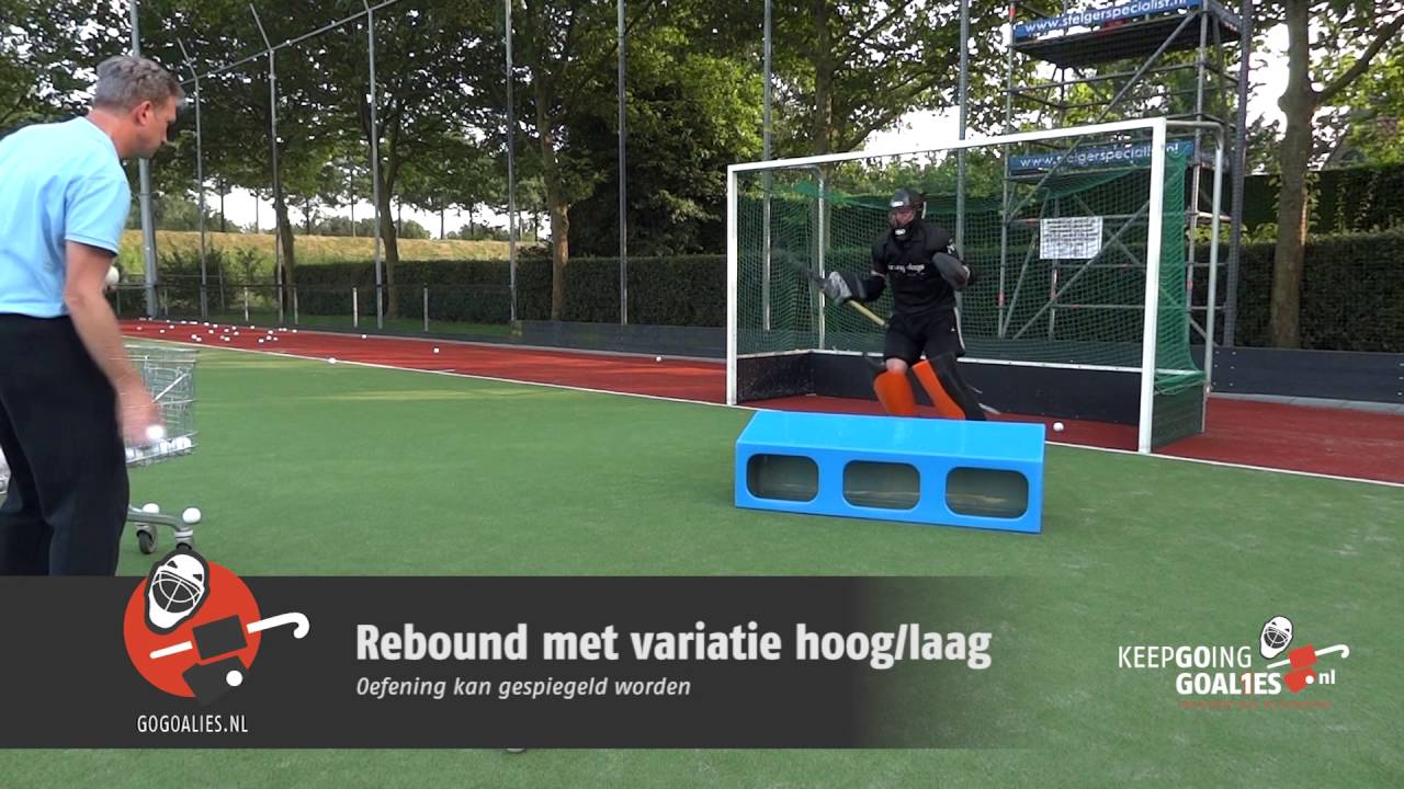 GoGoalies Keeperstraining