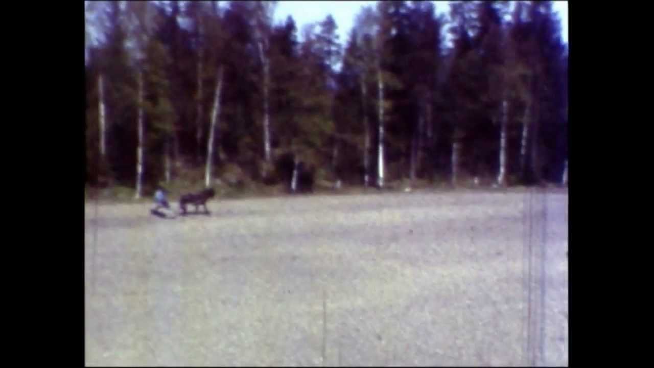 Vår på Kurland 1964