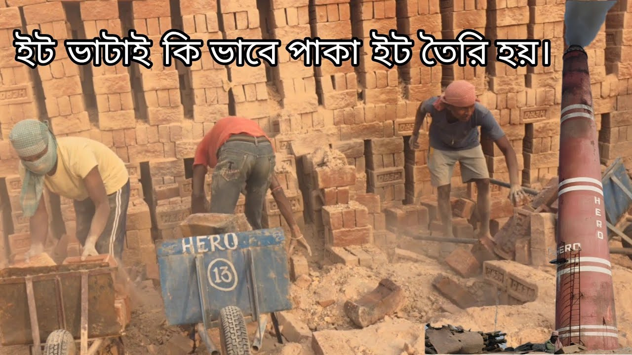 ইট ভাটাই কি ভাবে পাকা ইট তৈরি হয়। #villagefarmingvlogs #grambangla 