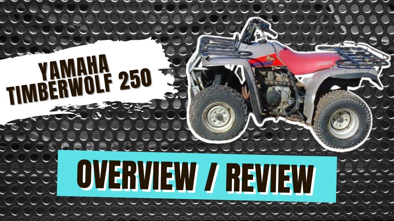 Yamaha Timberwolf 250 — полная комплектация — обзор/обзор — стоит ли своих денег?