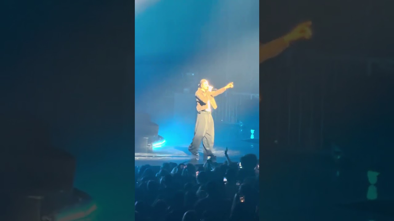 Pierre Garnier - Ceux qu’on était -Zénith de Nancy ( 06/12/2025) 