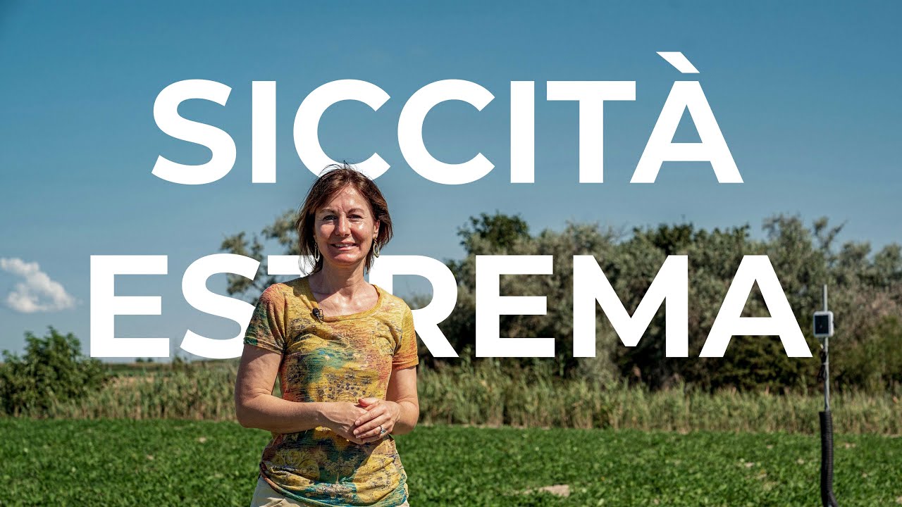 Come Deborah Piovan affronta le sfide dell'agricoltura 🥜 - Deborah Piovan [Storie di xFarmers]