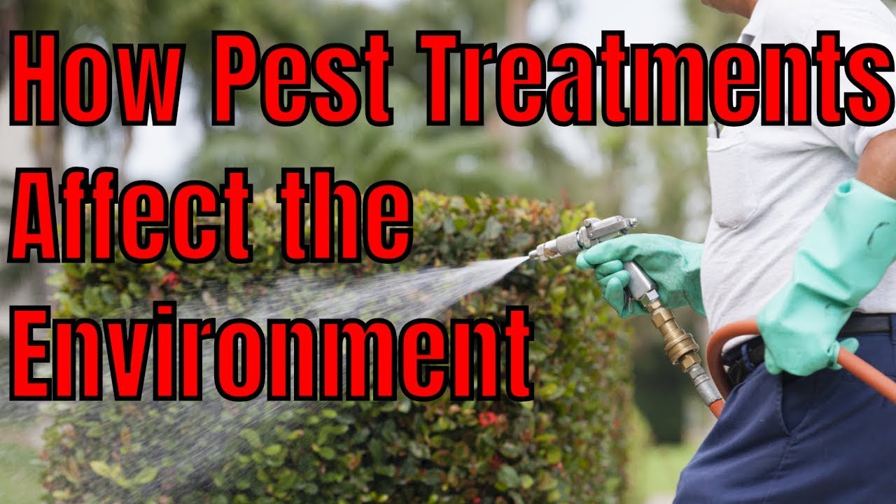 How do Pest Control Treatments Affect the Environment?🌎