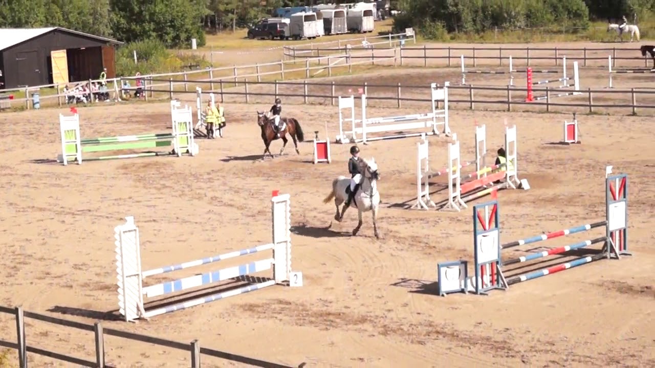 Amazing grey L&auml;tt:C 2/9 NTR