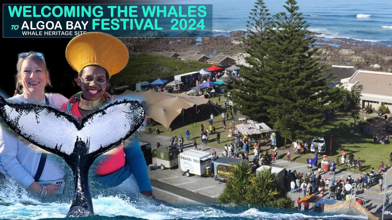 Welcoming the Whales to Algoa Bay Festival 2024