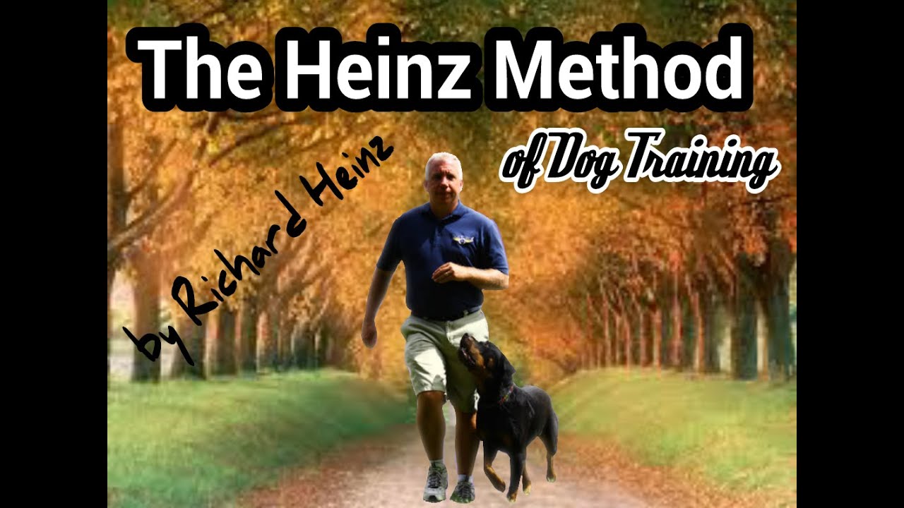 How to teach the 