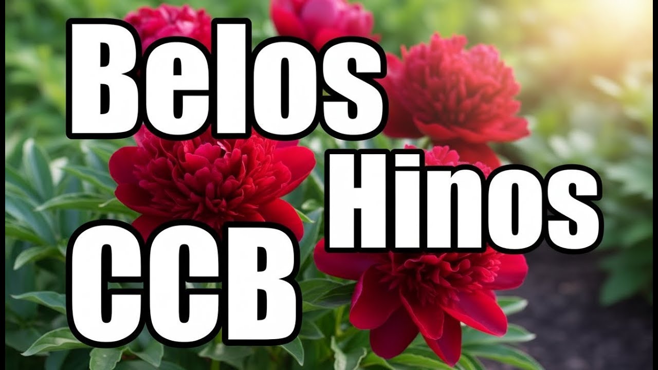 Belos Hinos CCB - 95,99,105,480,457,464,441,110,05,09,55,260,261 - Hinos Cantados CCB 08/02/2026