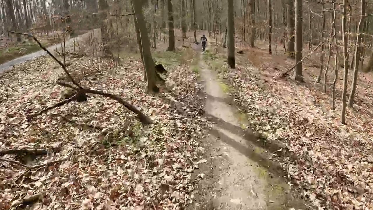 Flow Trail Ketterwald Bad Mergentheim