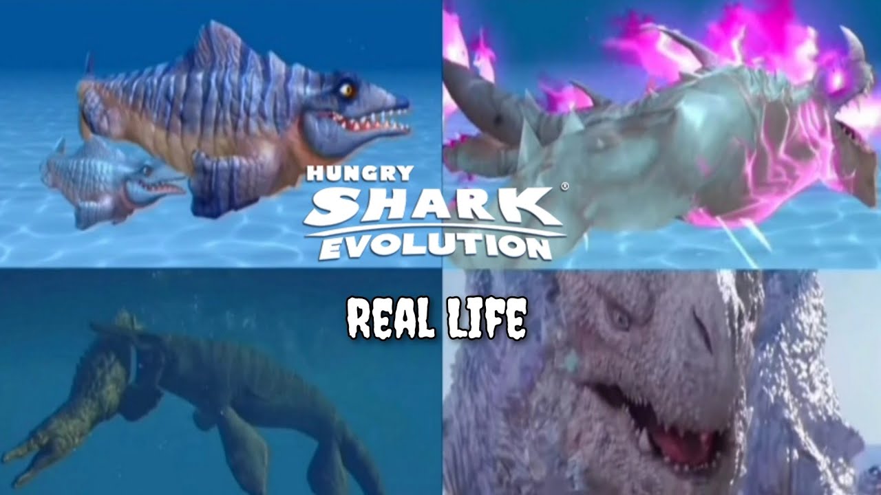 Hungry Shark в реальной жизни. Hungry Shark Evolution.